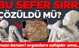 Çölde başlayan gizemli hikâye bilimi karıştırdı: Bu sefer sırrı çözüldü mü? ‘İnsan benzeri organlara sahipler ama…’