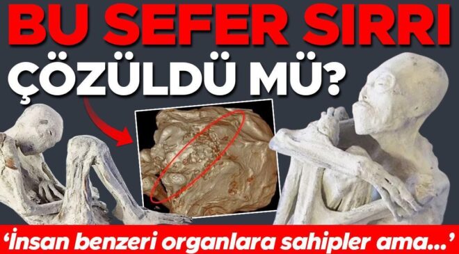 Çölde başlayan gizemli hikâye bilimi karıştırdı: Bu sefer sırrı çözüldü mü? ‘İnsan benzeri organlara sahipler ama…’