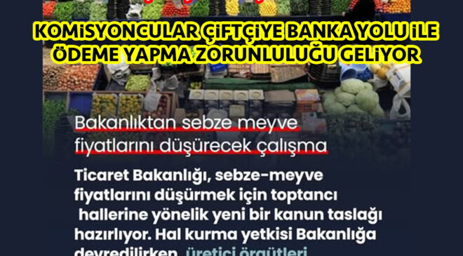 Sebze ve Meyve Toptancı halleri yeniden düzenleniyor