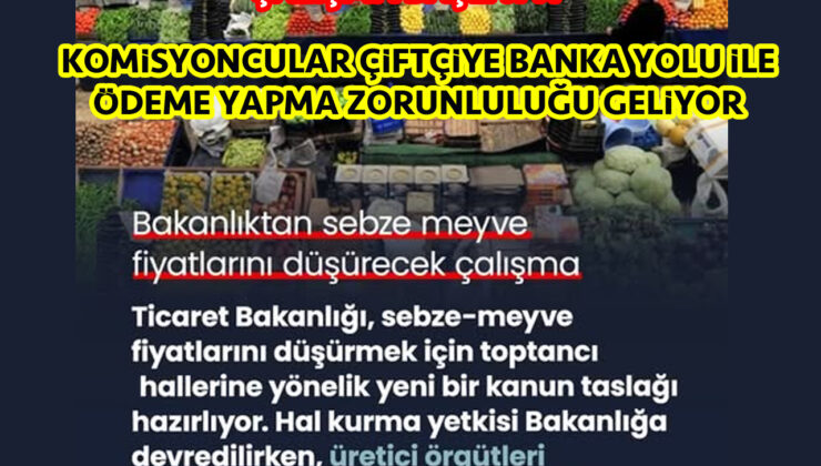 Sebze ve Meyve Toptancı halleri yeniden düzenleniyor