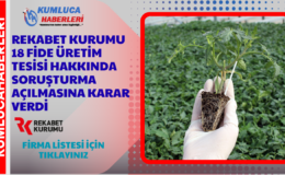 Rekabet Kurumu Fide Sektörü Firmalara Soruşturma Açtı