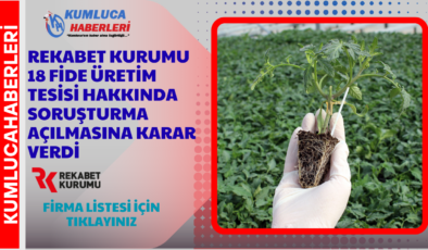 Rekabet Kurumu Fide Sektörü Firmalara Soruşturma Açtı