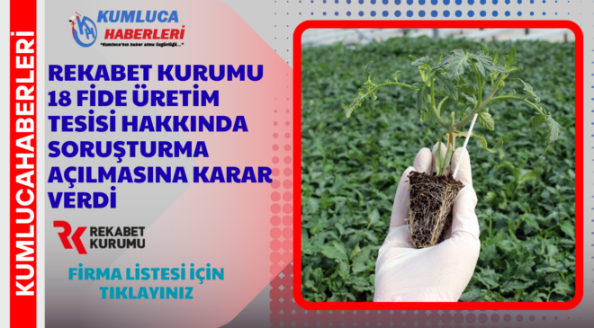 Rekabet Kurumu Fide Sektörü Firmalara Soruşturma Açtı